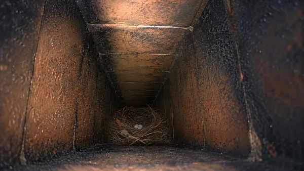 A bird nest with eggs sitting at the base of a clay-tile chimney flue
